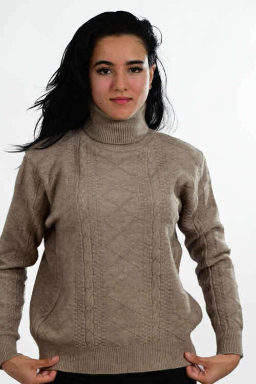 Asymmetric Long Sleeve Top With High Neck